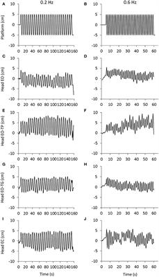 Vision Does Not Necessarily Stabilize the Head in Space During Continuous Postural Perturbations